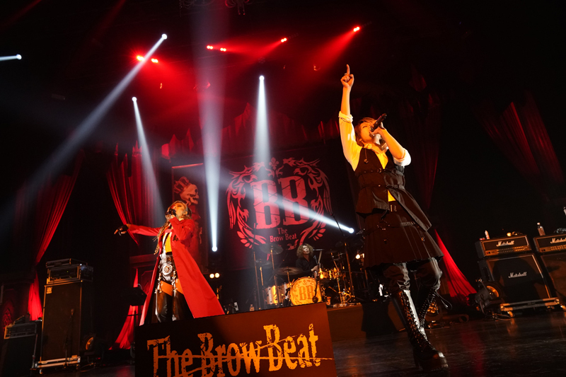 The Brow Beat Live Tour 2019 Hameln