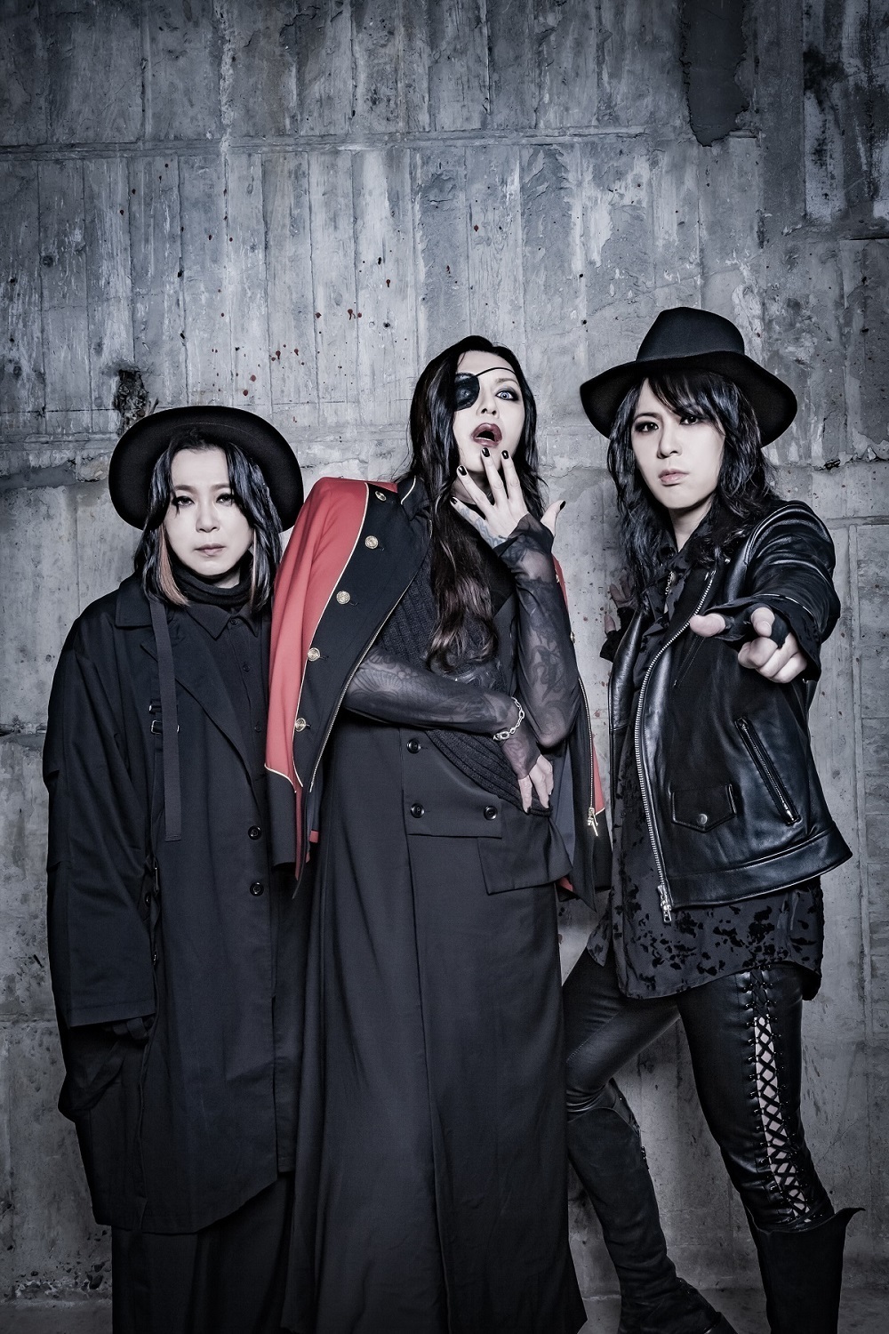 値下げ　受注生産 DVD PENICILLIN 30th Anniversary LIVE DVD 「The beginning of 30th anniversary」VOL.1