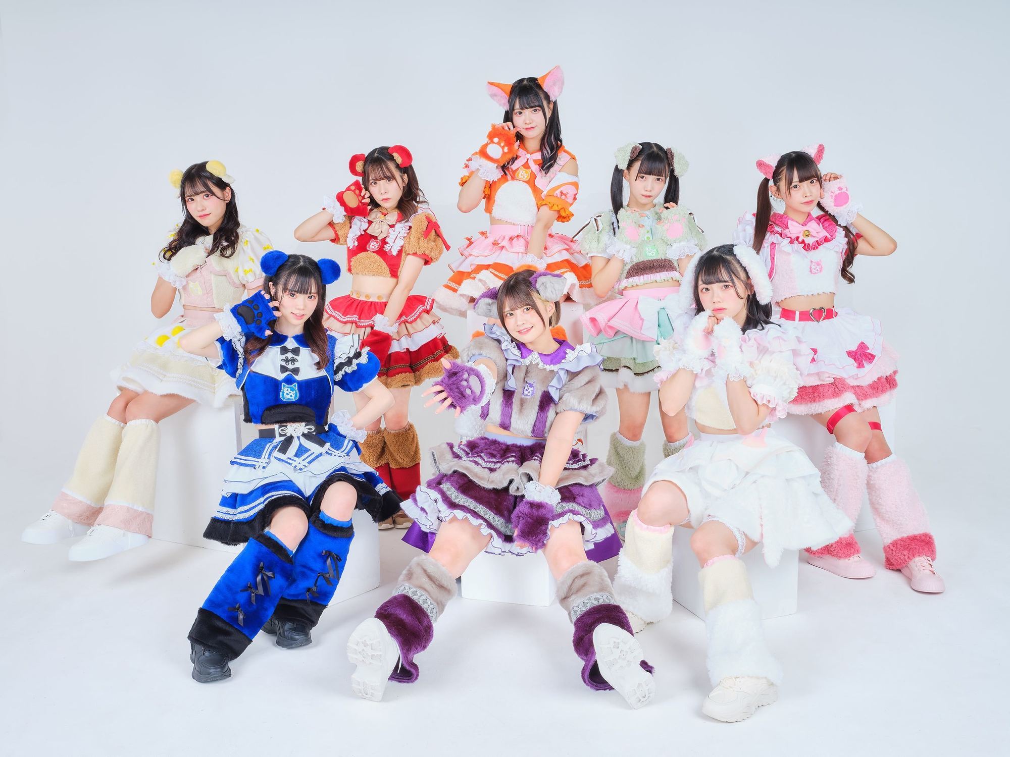 【送料無料】もちとちーず LIVE CD 2014.11.28 1stワンマン chuLa 1月3日にTOKYO DOME CITY HALLにて7回目のワンマンライブ開催