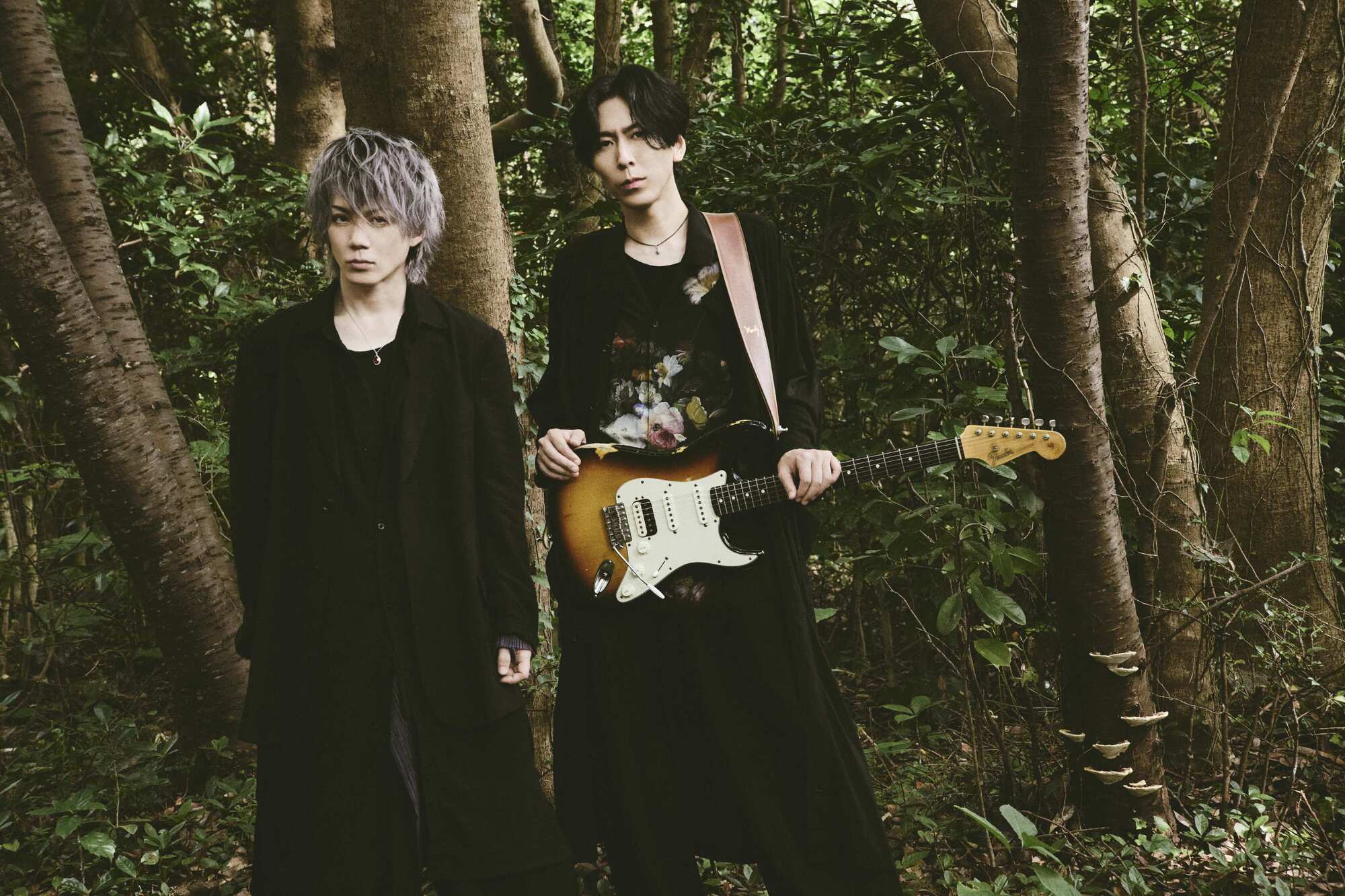 fuzzy knot、デジタルシングルのタイトルは「時の旅人」。森を