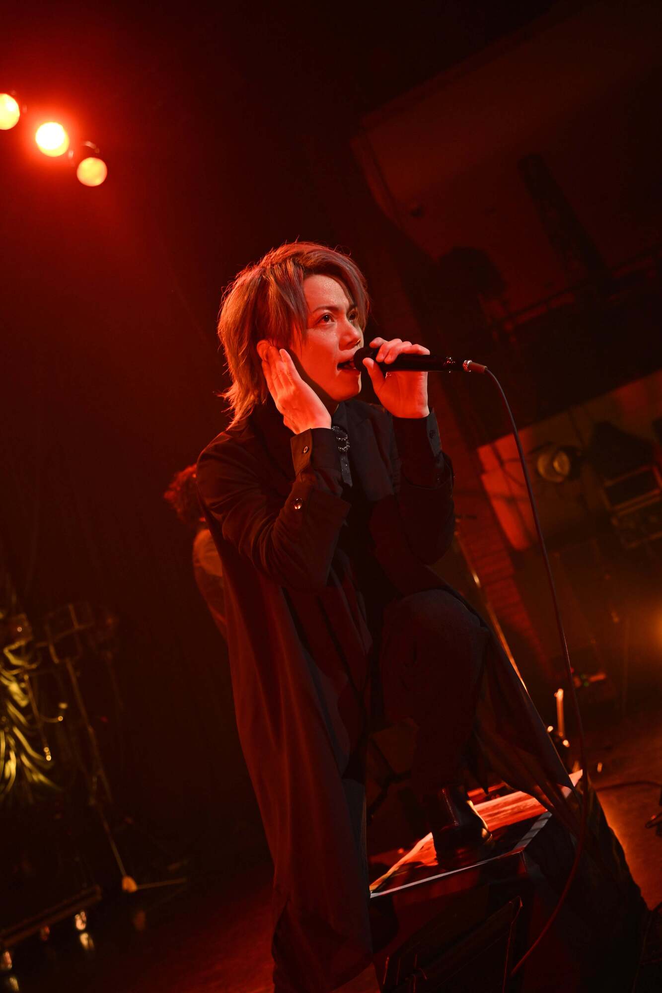 fuzzy knot LIVE 2024 〜Shinji Birthday〜 2月8日(木)@東京 fuzzy knot LIVE 2024 〜Shinji Birthday〜 2月8日(木)@東京