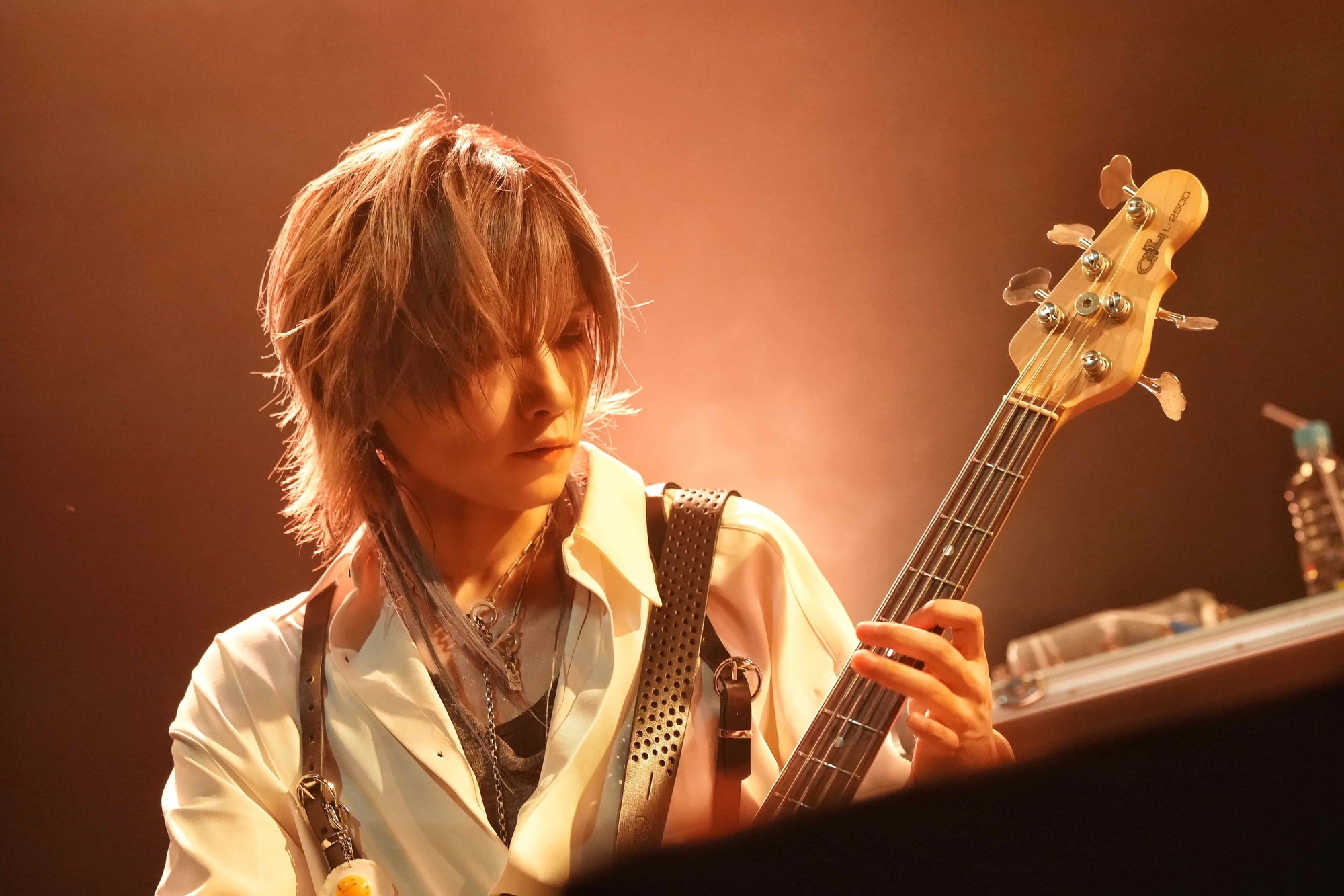 vistlip、リード曲とカップリング曲をそれぞれフィーチャーした2days