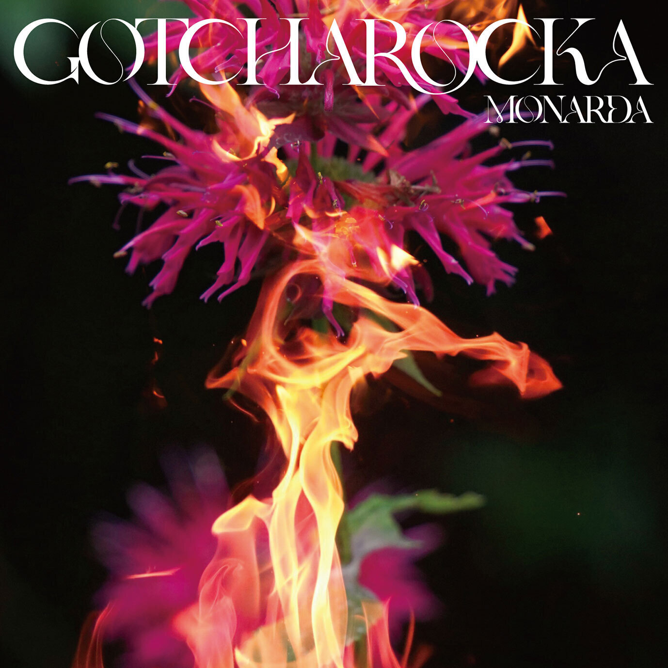 GOTCHAROCKA MONARDAキャラクターTシャツ JUNの通販 by momo's