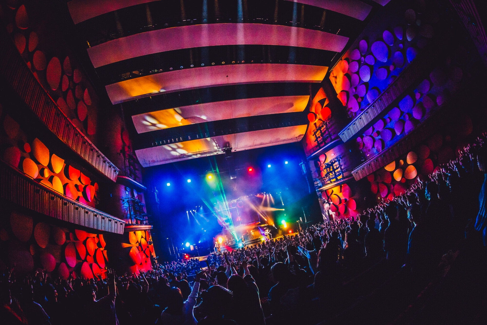 MUCC TOUR 2024「Daydream」 2024年12月22日(日) 水戸市民会館