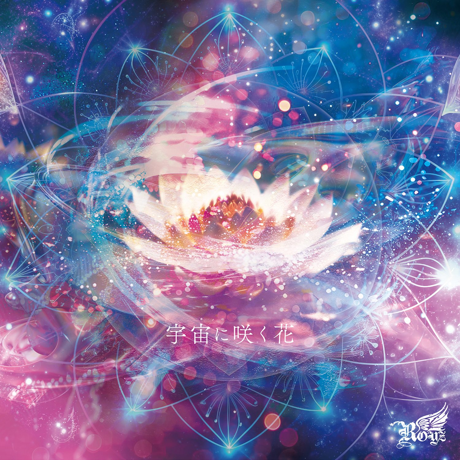 邦楽 Royz / AREA DISCOGRAPHY｜Royz Official web site