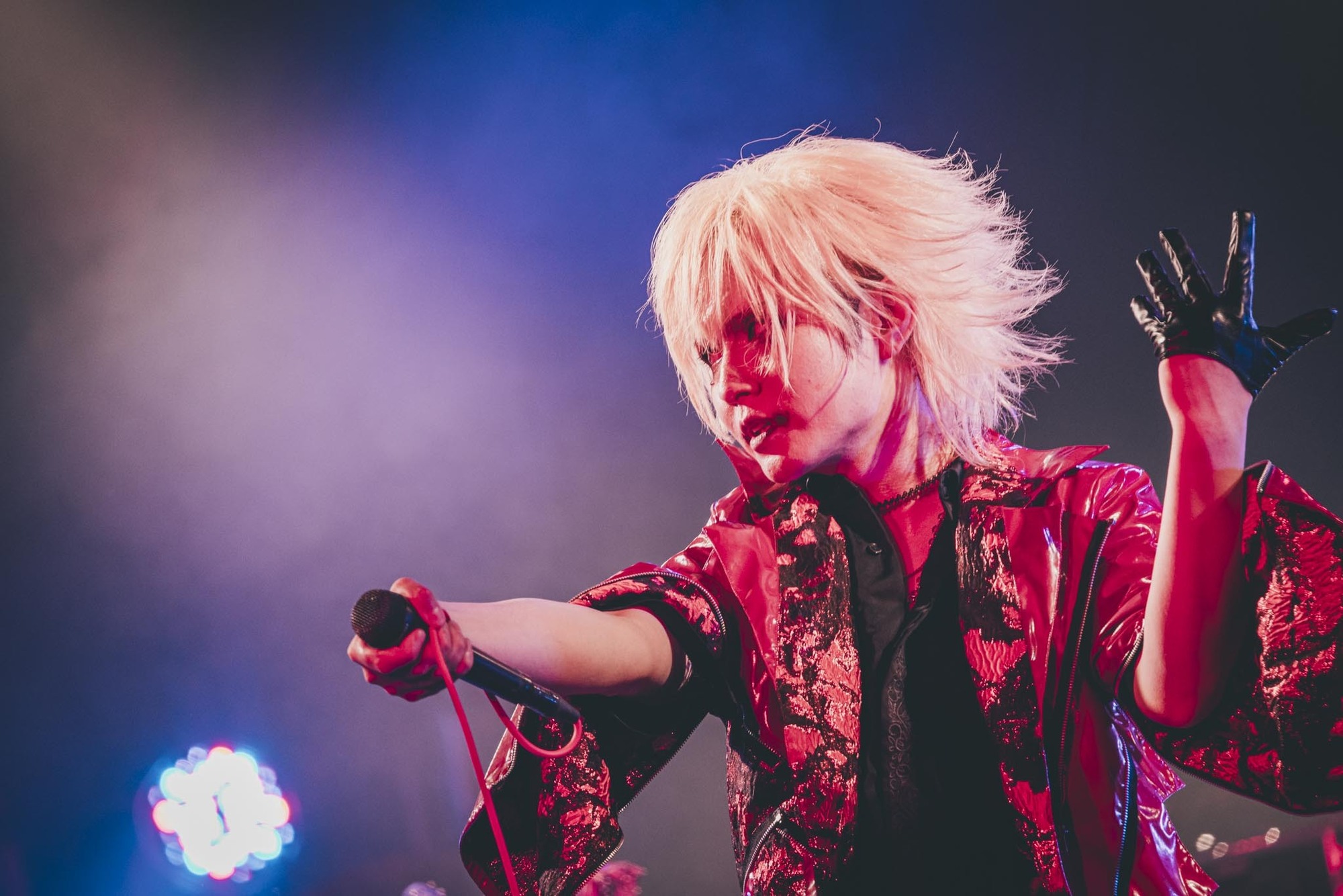 DIV主催】夏の行方FES -東京編- 2025年7月28日(月)恵比寿